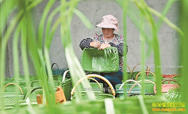 ɽ����Դ�أ���ͳС�ӹ� ���մ��г�