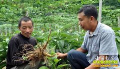 ����ʯ�������ӹ�����������δ�ʱ����������