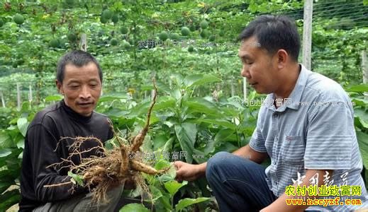 ����ʯ�������ӹ�����������δ�ʱ����������