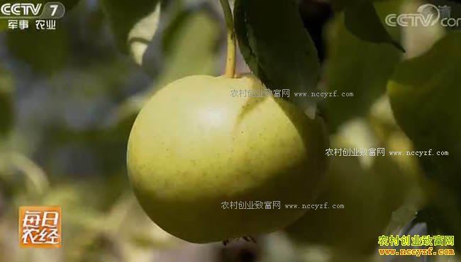 [ÿ��ũ��]С���ľ��������۸� 20170927