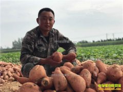 ɽ��۩������ɭ���紴ҵ�ֵع������������۸�