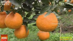 [�Ƽ�Է]�Ĵ��ѽ�������������������۸�