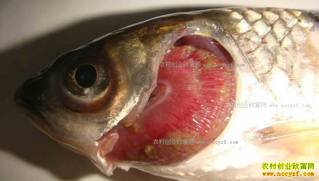 ����������������