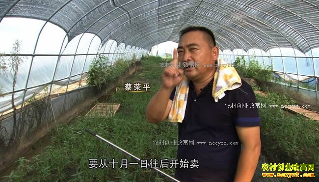 [�¸���]�̷������� ǧ��Ƹ�ȫ���� 20171009