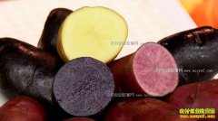 [�¸���]���ɹų��������ֲ��ɫ����һ����2000��