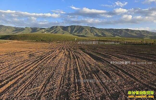 ũ��ϻﾭӪ��ɶ���ר��