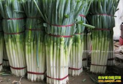 2018�괺��ǰ��м۸���������