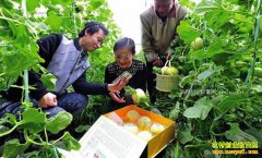 ũ��Ʒ��ô�������úã�ר�ҽ��齲�ò�Ʒ���ºܹؼ�