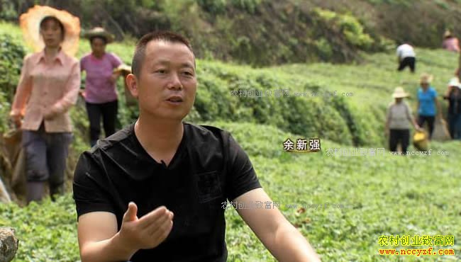 [�¸���]����ƽ������ǿ�ӹ�����ݡ��ʹ����ľ��˲Ƹ�