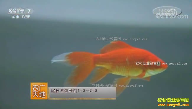 [ũ�����]�ݽ��������ֳ 20171009