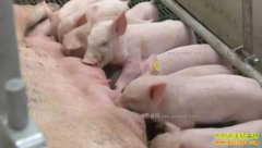 [�Ƽ�Է]�Ͽر��� ��ĸ�����з�һ��