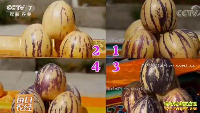 [ÿ��ũ��]�Ĵ�С���أ�ѩ���ԭ������¸��˲ι�