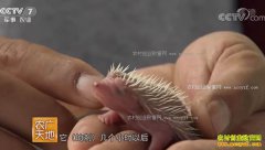 [ũ�����]�����̡��ĲƸ���ɽ��۲����̹����������200����