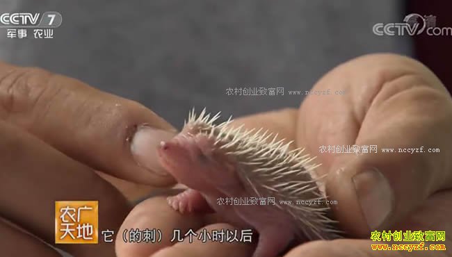 ũ����أ�ɽ��۲������̹���ֳ�������200����