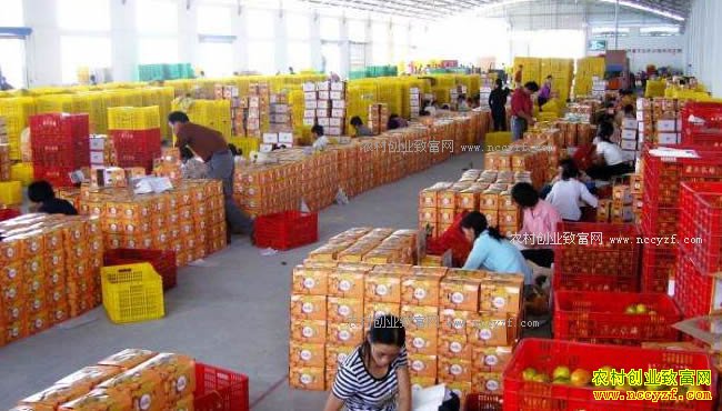 �Ĵ��봨90��Ů���ֶ��ǵ�����ˮ��һ����������Ԫ