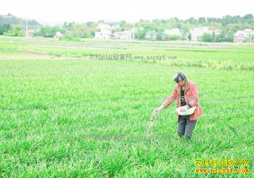 �²�ʲôʱ��ʩ����ã�