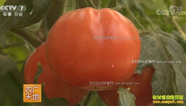 [ũ�����]�չ����һƹϷ��Ѿ�����ʩ�ʼ���20171101