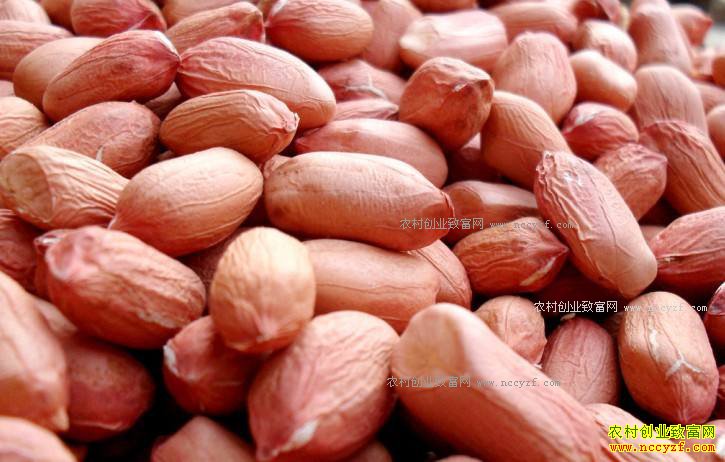 �������н���߷� 2017�껨���۸�ʼ����