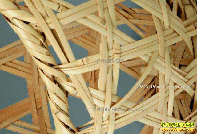 ���������������������֯��ũ���¸�����Ŀ