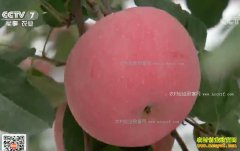 [�Ƽ�Է]ƻ������ˮ�������������и���