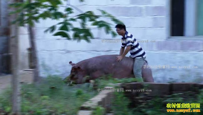 [�¸���]���в��� ������׬Ǯ������ 20171117