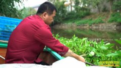 [�¸���]ˮ����Ư���ĲƸ� ���ΰˮ����ֲ��Ҷ�˺�׬Ǯ