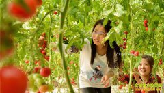 ����ũҵͦ׬Ǯ Ͷ������ũҵ��������ҪԶ��