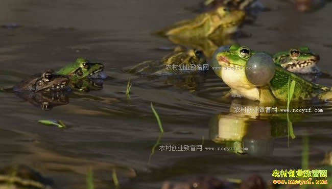 �Ĵ����������λ��������ܲ�ֵ������