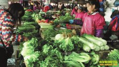 2017年蔬菜行情特点及未来蔬菜价格走势分析