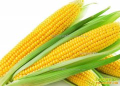 ���׼۸��������� ����ʦ��δ�����׼۸񽫸�λ�ǻ�