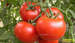 �������������м۸���