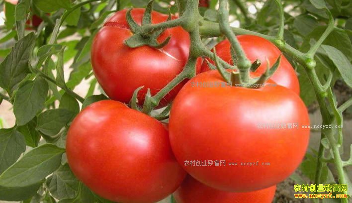 �������������м۸���