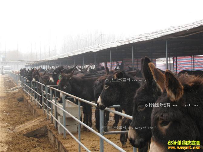 ������ѧ��ƽ�����¿����