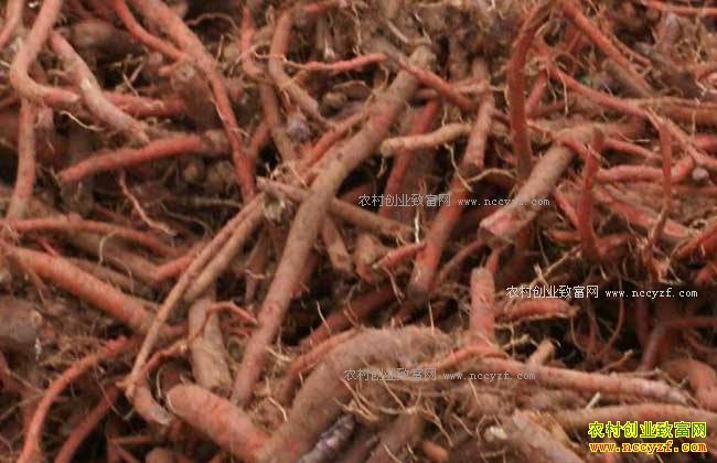 2017�����µ��μ۸�����