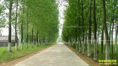 2018�겻�ó�ȥ���ڼ��ſھͿ���׬Ǯ