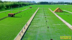 ʲô�ǡ�����ũҵ����������ũҵ����չǰ��������