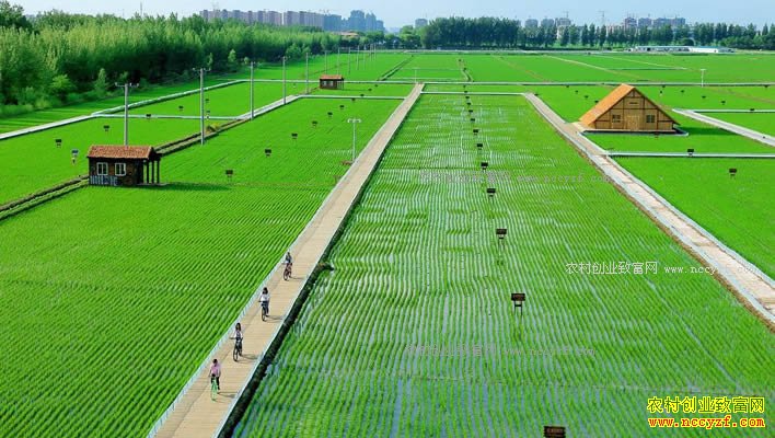 ʲô�ǡ�����ũҵ����������ũҵ����չǰ��������