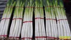 2018�괺��ǰ�����г��۸��Ƿ�����