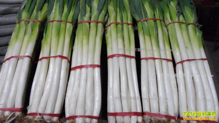 2018�괺��ǰ�����г��۸��Ƿ�����