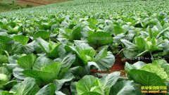 �Ĵ�¡�������ѻ���˾��������������׬50��