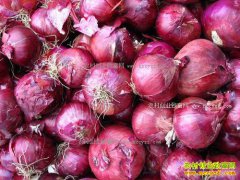 ����Ϊ����м۸���ô�ͣ�