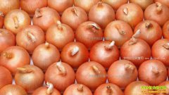 ��м۸�ع�ƽ�� δ����м۸�����Ԥ��