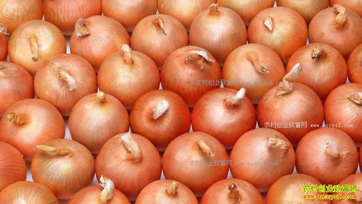 ��м۸��µ� ����ʦ����ϧ�� �������������