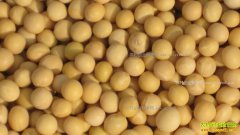 ���ں���չ������� ����������ܷ��ů��