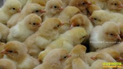 ���길ĸ������۸��������