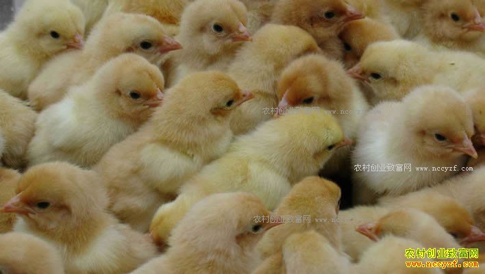 ���길ĸ������۸��������