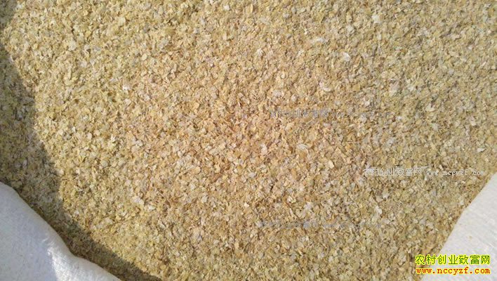 2018����Ƥ�۸�����Ԥ�⣺��Ƥ�۸�������»�