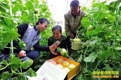 ũ��Ʒ�����������ú� ��������仯����Ҫ