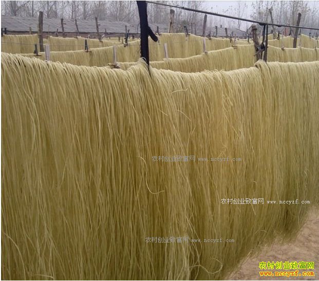 ���ϻ������Ŵ�����Т��ӹ�����������ũ��ƶ�¸�