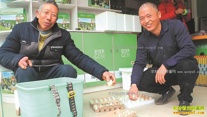 �Ĵ���������Ѯ�������滪���������������Ԫ